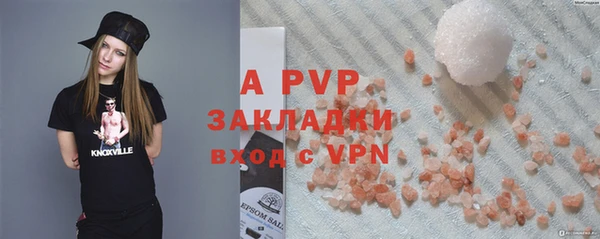 стафф Михайловск