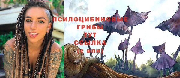 apvp Михайловка