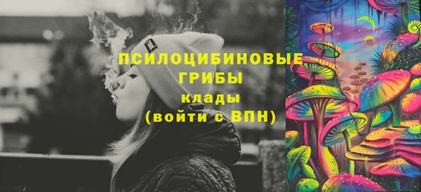 стафф Михайловск