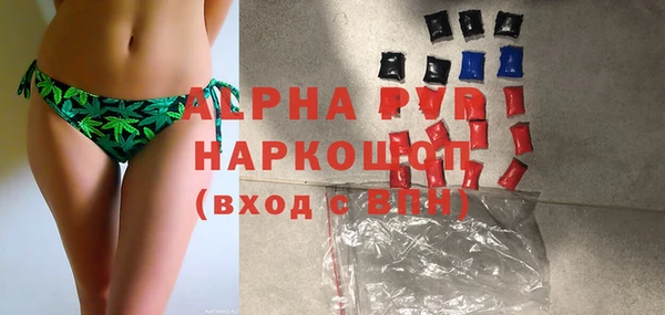 стафф Михайловск