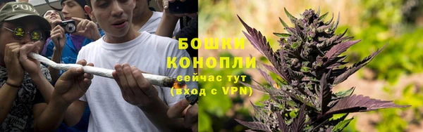 стафф Михайловск
