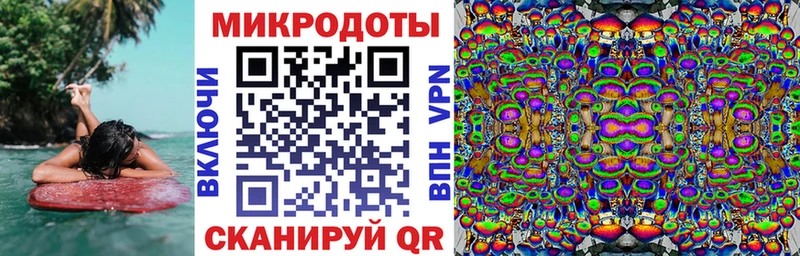 Псилоцибиновые грибы Cubensis  цены   Нижнекамск 