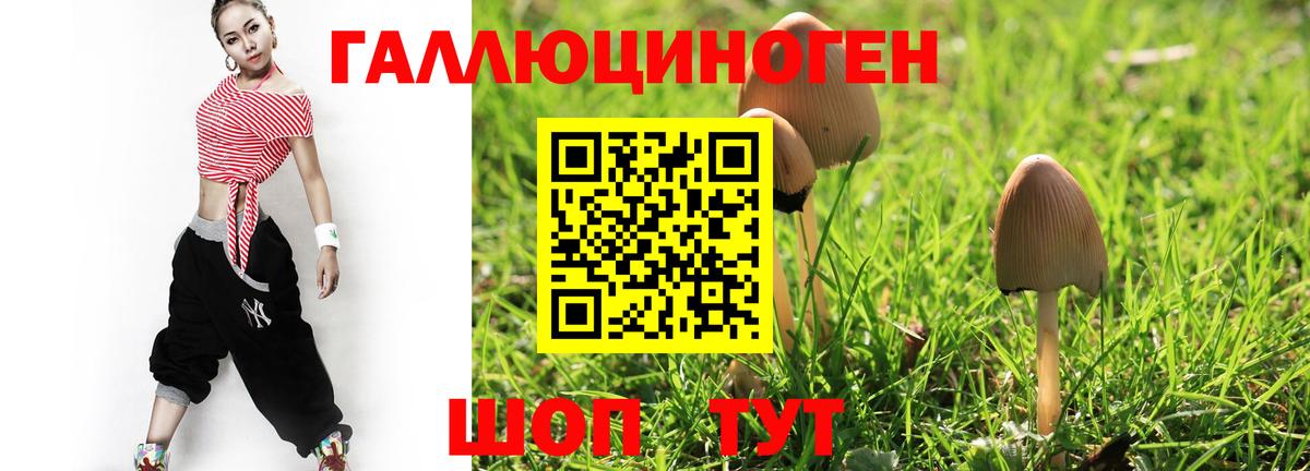 Галлюциногенные грибы Magic Shrooms Нижнекамск